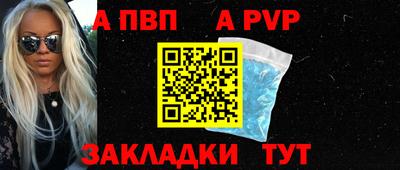 мет Кингисепп