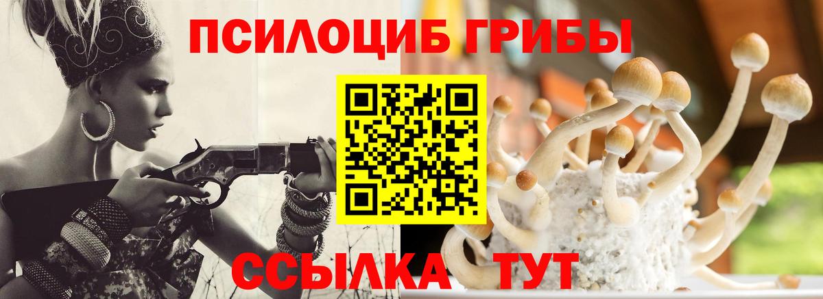 Якутск  Галлюциногенные грибы прущие грибы  Галлюциногенные грибы MAGIC MUSHROOMS  Вход с VPN 