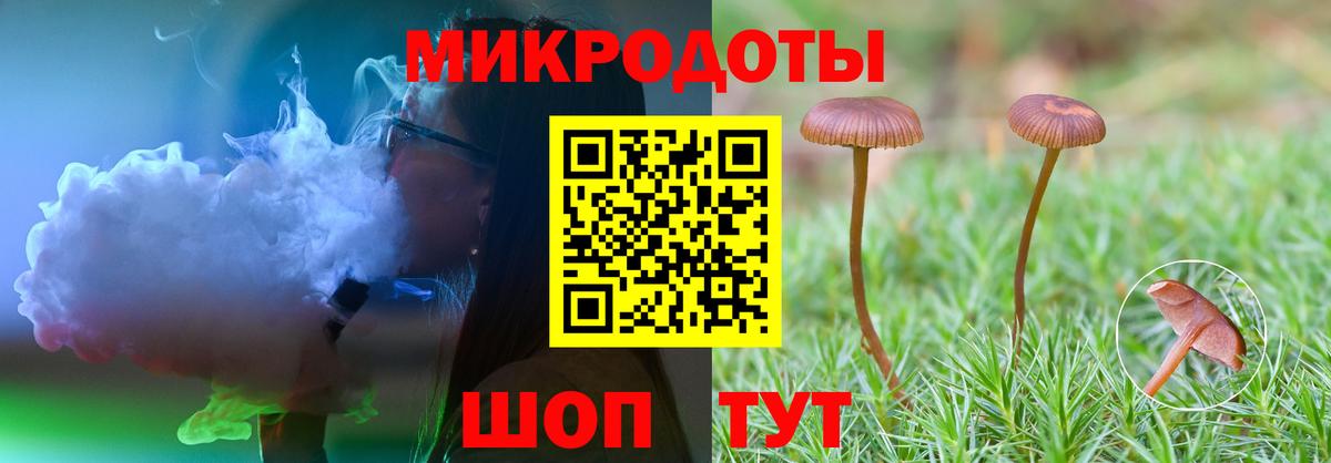 Галлюциногенные грибы Psilocybe Якутск